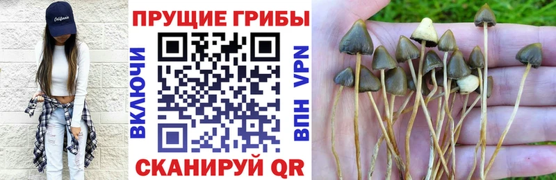 Псилоцибиновые грибы Magic Shrooms  купить  цена  Динская 