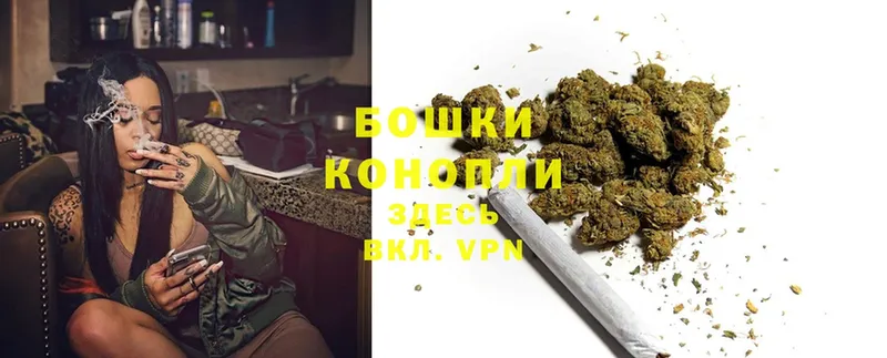 Шишки марихуана THC 21%  Динская 